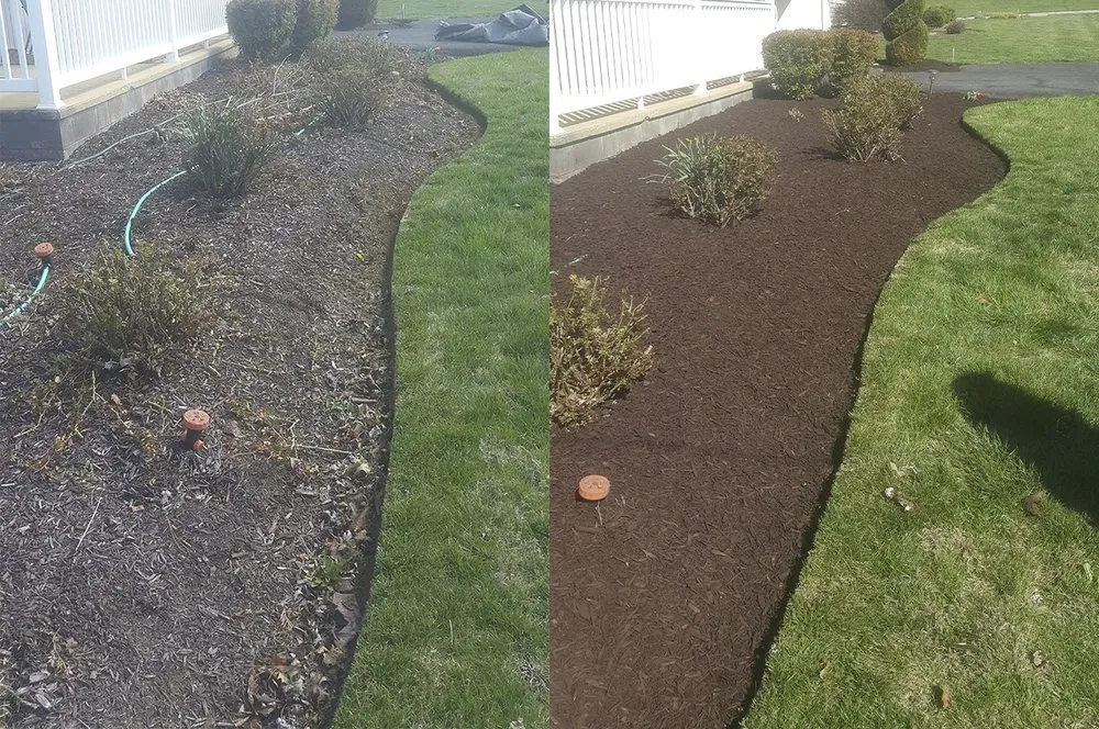 Expert landscape installation experts serving Harrisonburg, VA - River Tree Services