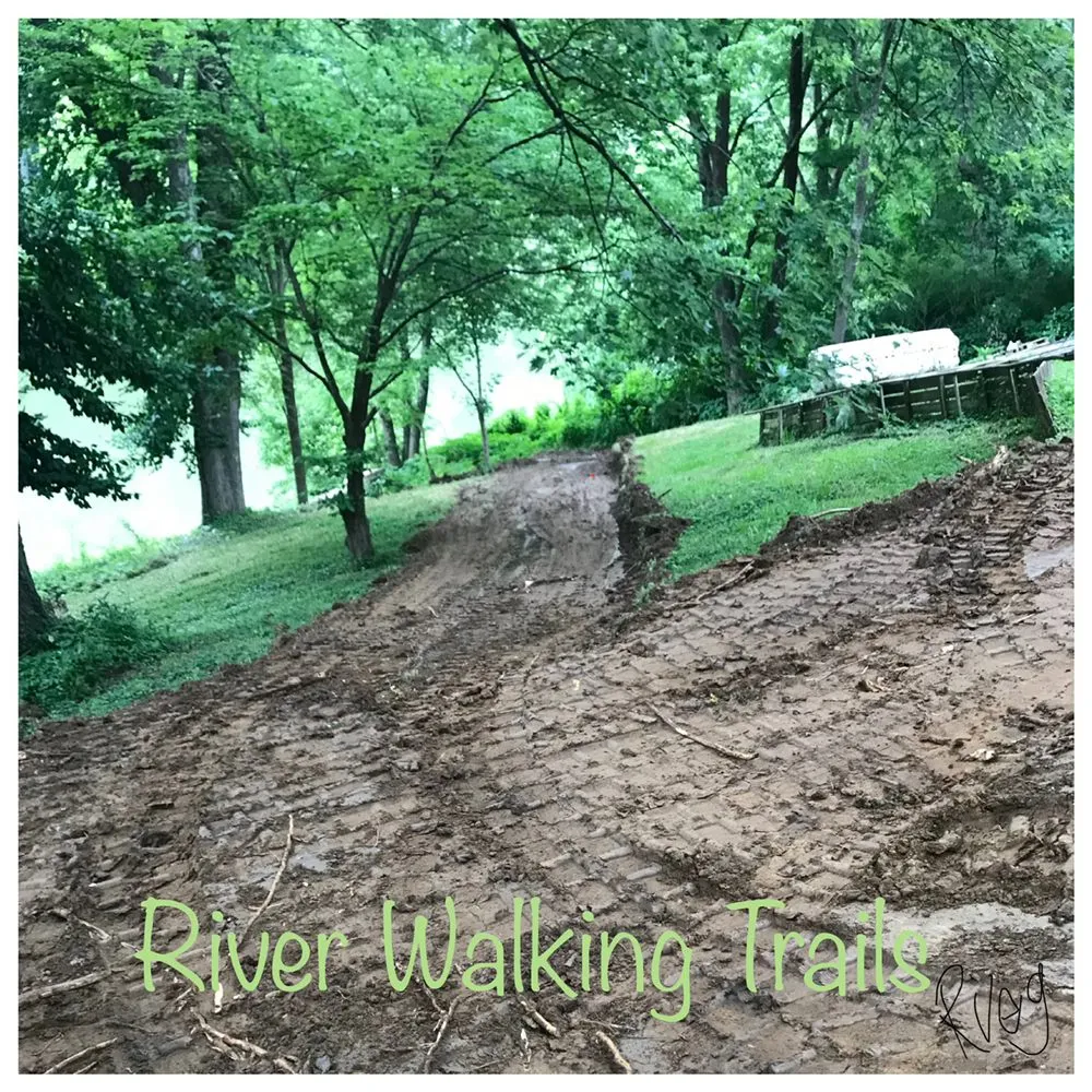 Professional outdoor landscaping for beautiful yards across Frankfort, KY - River Valley Excavating and Grading