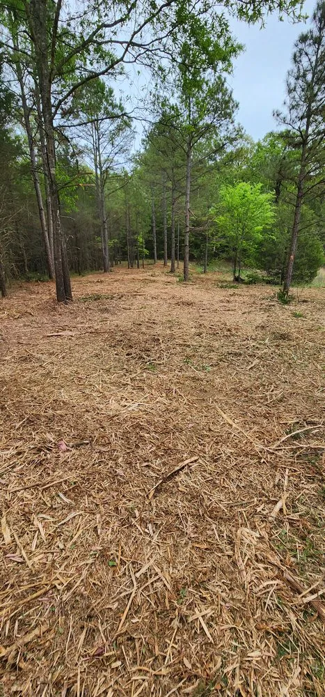 Top-rated yard maintenance in London, AR - River Valley Land Management