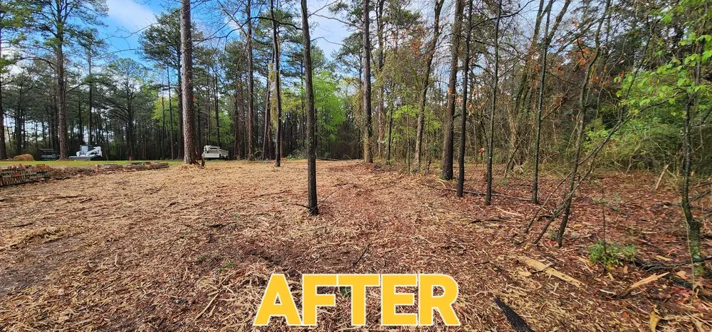 Expert outdoor landscaping experts serving London, AR - River Valley Land Management