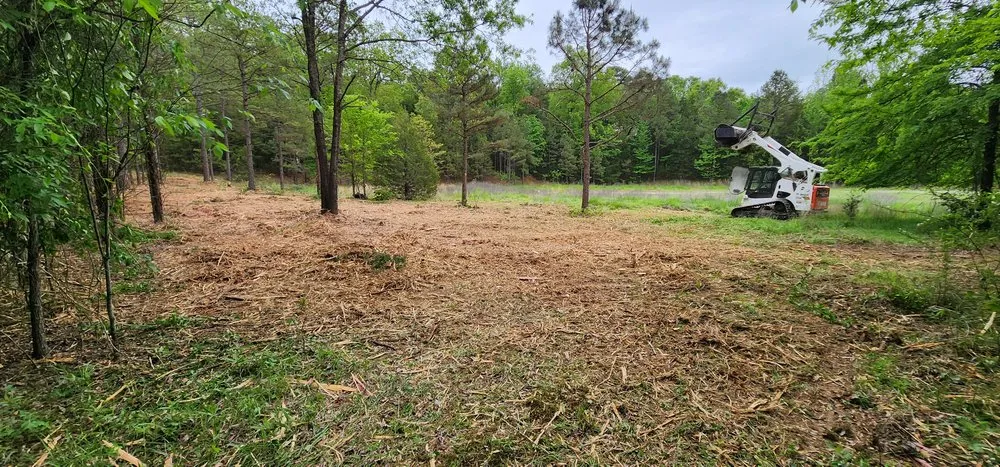 Custom lawn mowing service for year-round maintenance in London, AR by River Valley Land Management