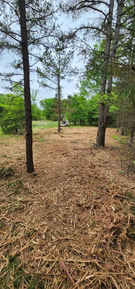 Custom lawn mowing service for beautiful yards in London, AR by River Valley Land Management