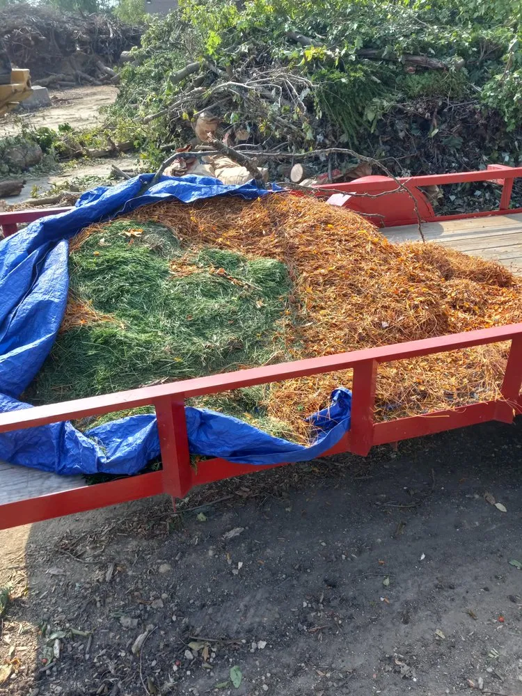 Top-rated landscaping services for year-round maintenance in Medina, OH by River Valley Landscaping