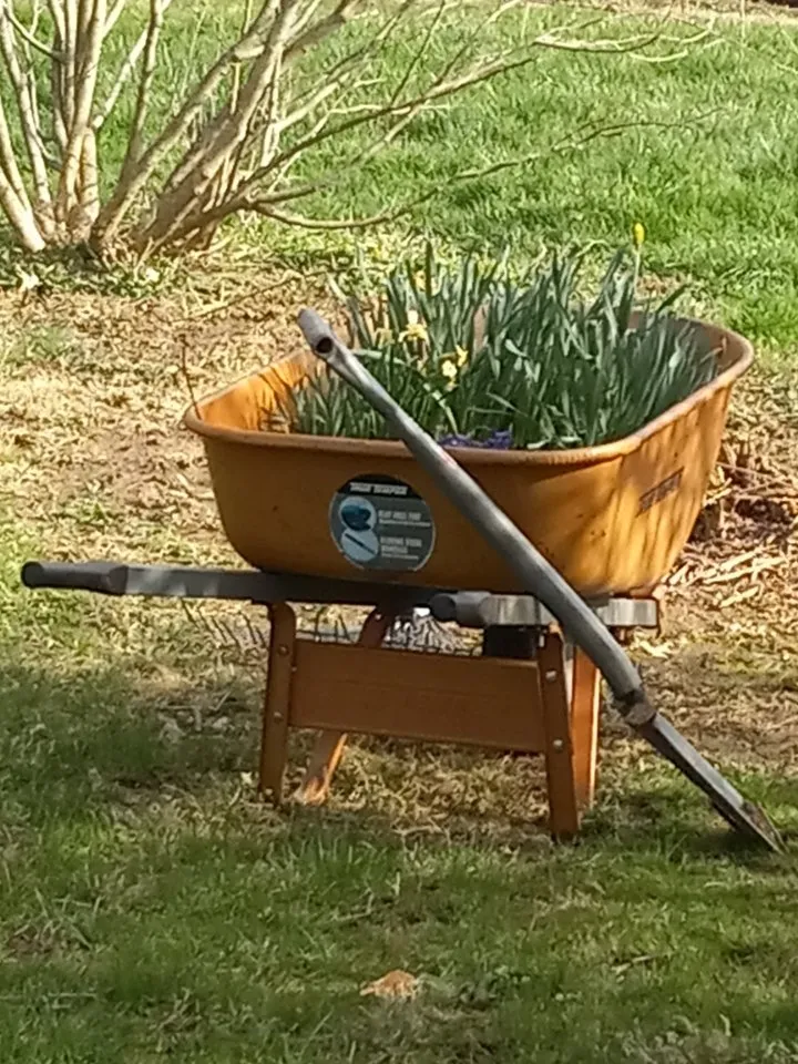 Reliable yard maintenance for year-round maintenance in Medina, OH by River Valley Landscaping