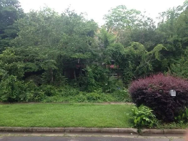 Trusted lawn mowing service in Russellville, AR by River Valley Lawn Services