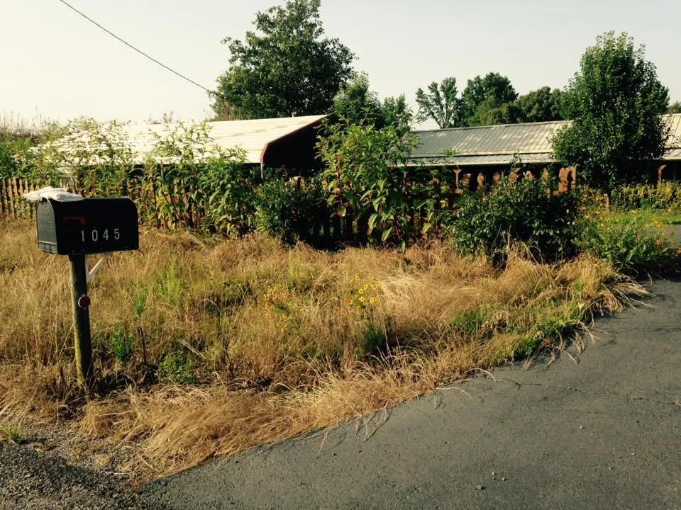 Trusted garden landscaping in Russellville, AR - River Valley Lawn Services