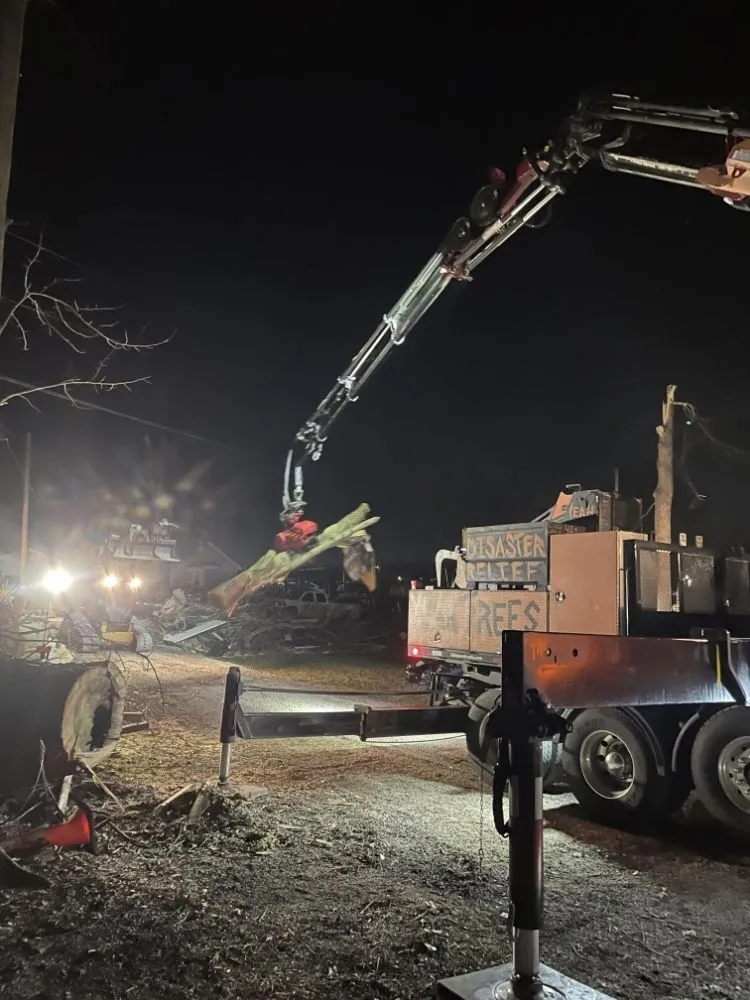 Expert landscaping services experts serving Clarksville, TN - River Valley Tree Service