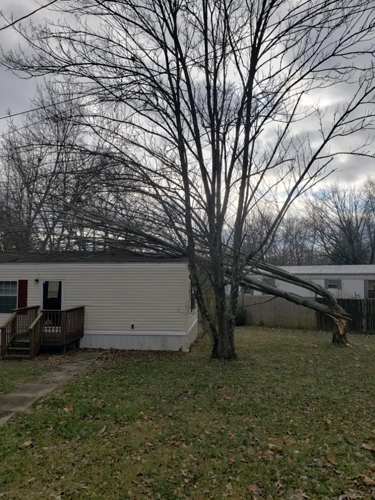 Reliable landscape design in Clarksville, TN by River Valley Tree Service