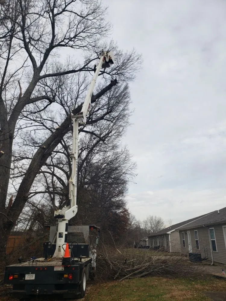 Professional landscaping services near you across Clarksville, TN - River Valley Tree Service