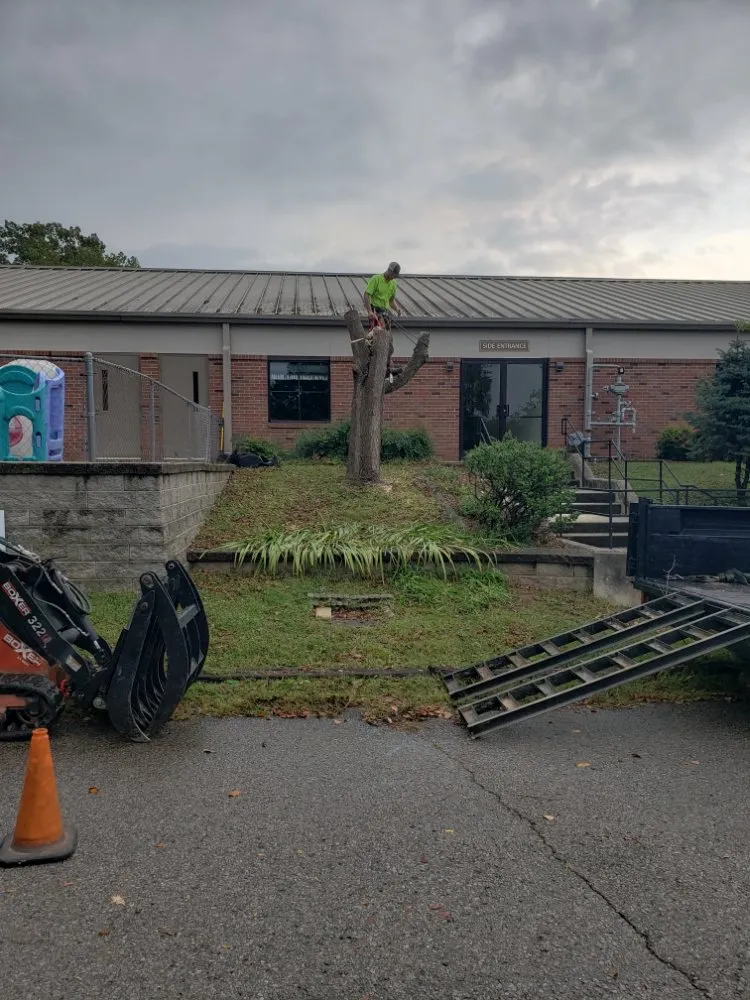 Top-rated lawn care service in Clarksville, TN - River Valley Tree Service