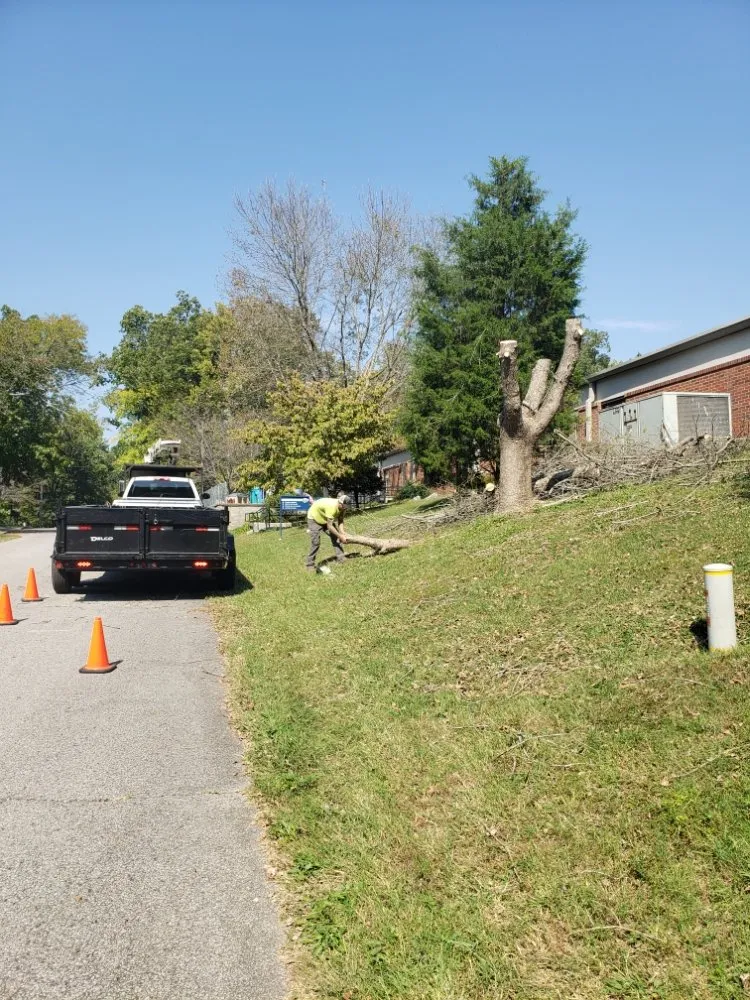 Trusted outdoor landscaping experts serving Clarksville, TN - River Valley Tree Service