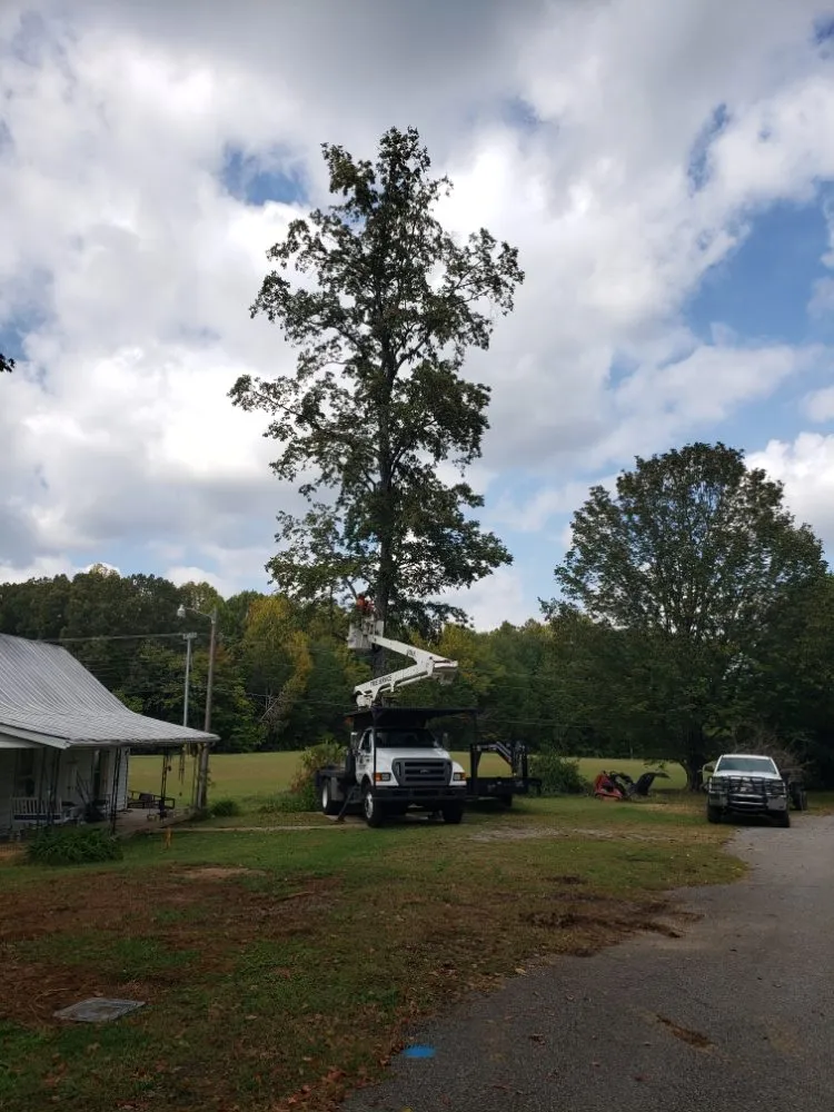 Local garden landscaping for homes across Clarksville, TN - River Valley Tree Service