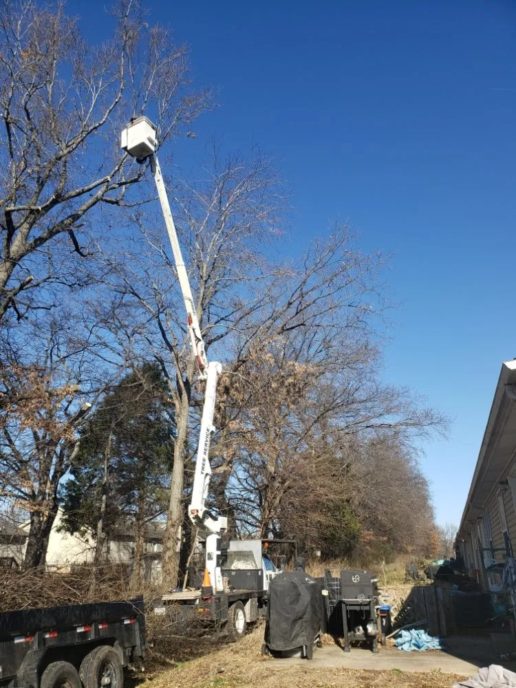 Affordable landscape installation in Clarksville, TN by River Valley Tree Service