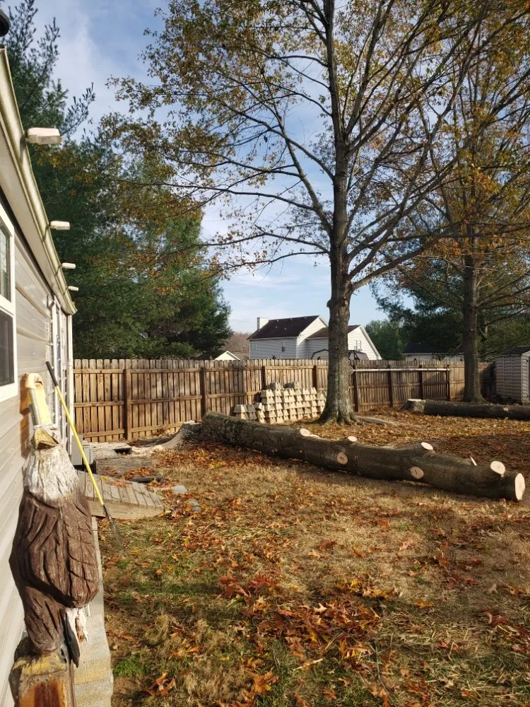 Trusted outdoor landscaping in Clarksville, TN by River Valley Tree Service