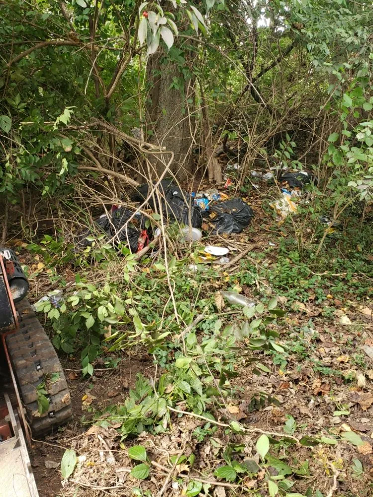 Local lawn mowing service for homes across Clarksville, TN - River Valley Tree Service