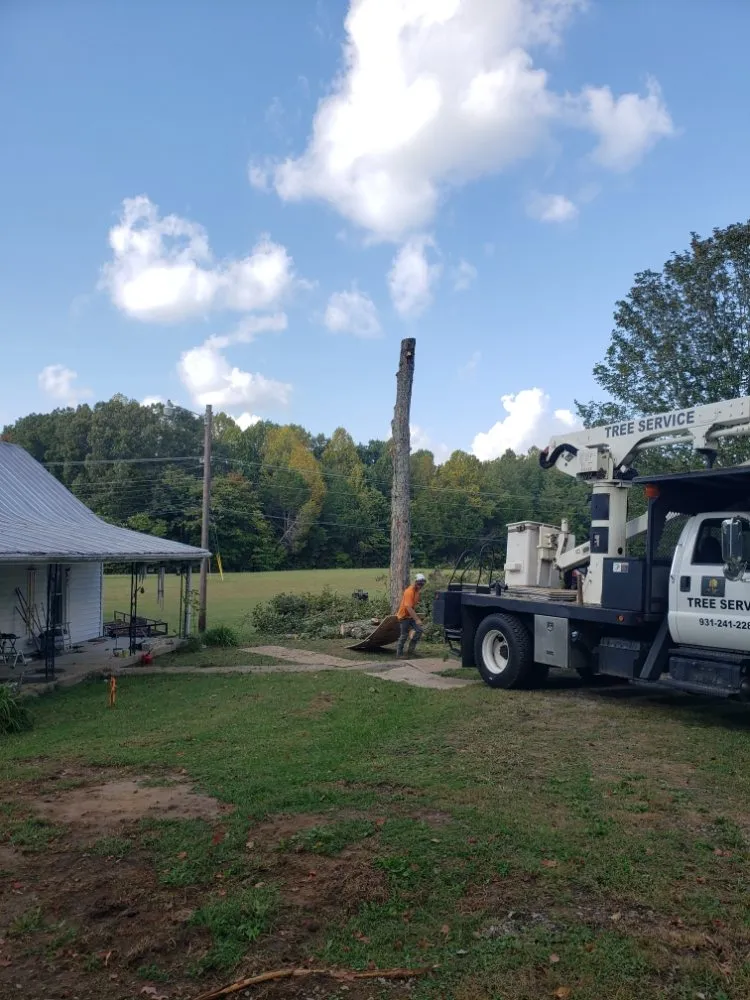 Affordable residential landscaping for beautiful yards across Clarksville, TN - River Valley Tree Service