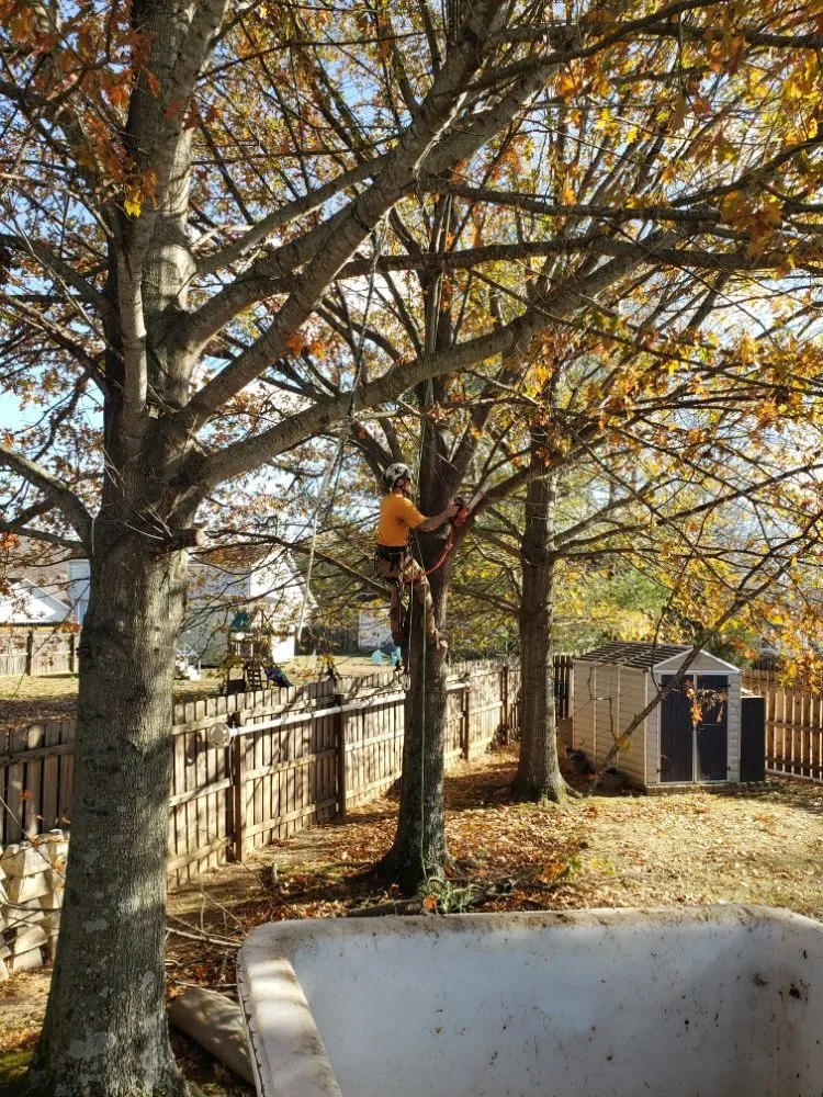 Custom landscaping services for homes across Clarksville, TN - River Valley Tree Service