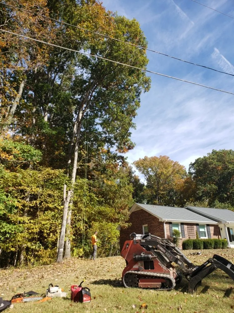 Affordable landscaping services in Clarksville, TN - River Valley Tree Service