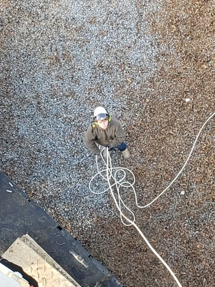 Reliable lawn care service experts serving Clarksville, TN - River Valley Tree Service