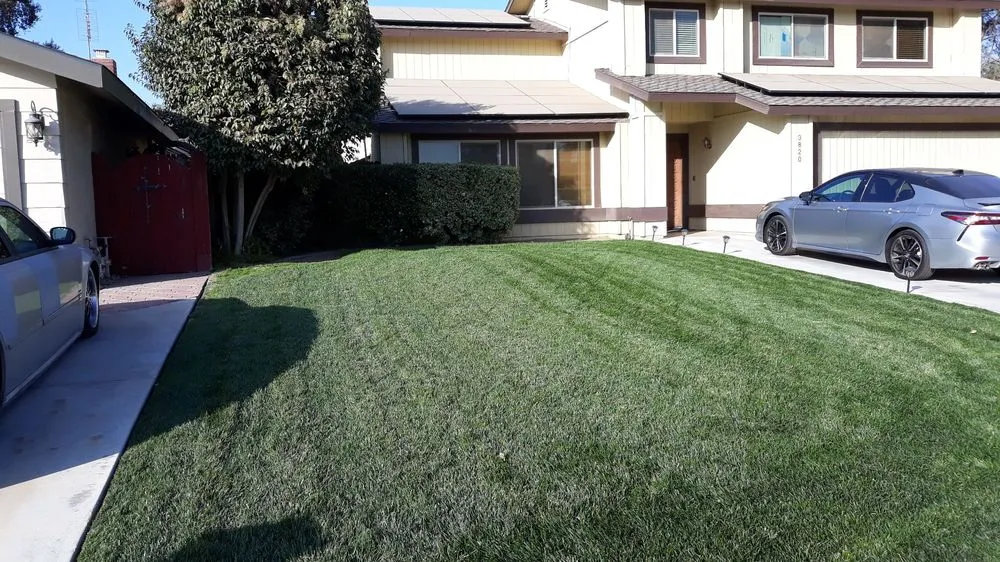 Top-rated residential landscaping with custom design in Reedley, CA by Rivera Bros Gardening