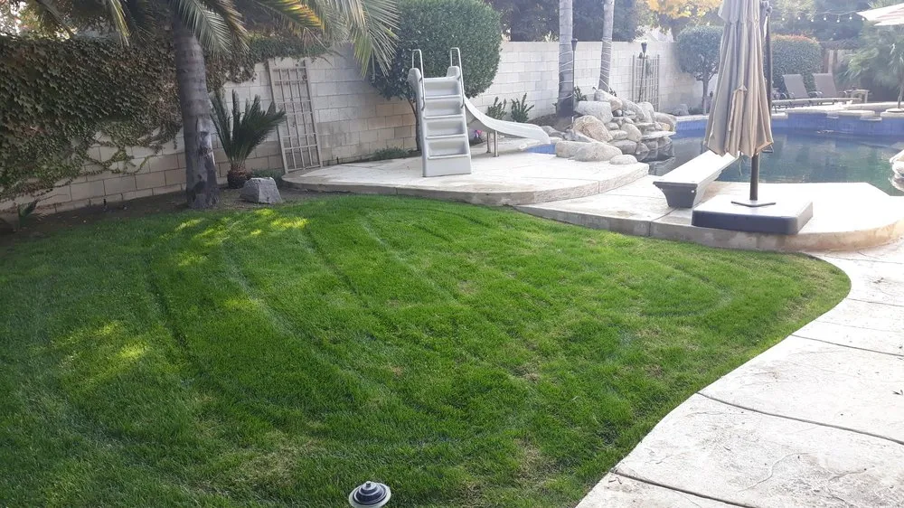 Local landscaping services experts serving Reedley, CA - Rivera Bros Gardening
