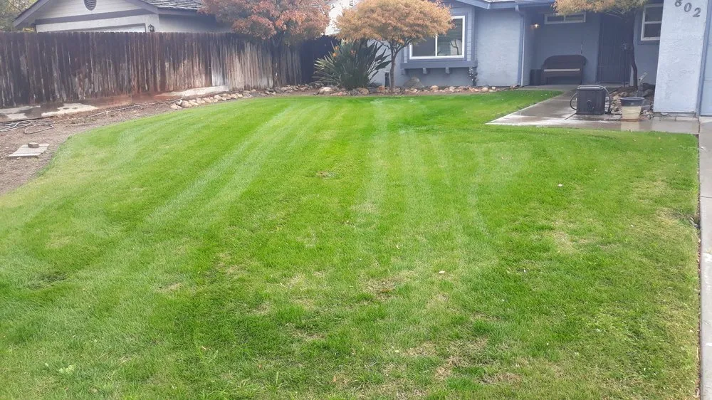 Top-rated residential landscaping with custom design across Reedley, CA - Rivera Bros Gardening
