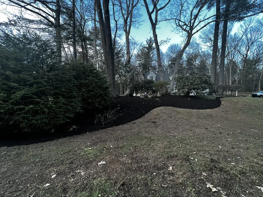 Local lawn care service for residential properties in Bloomfield, CT by Rivera Brothers Landscaping