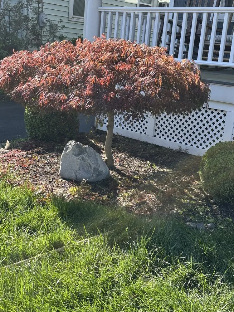 Expert landscape design in Bound Brook, NJ - Rivera Brothers Landscaping