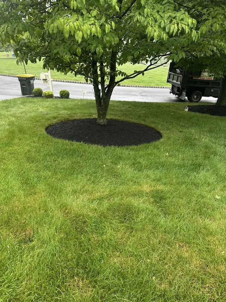 Custom lawn care service in Bound Brook, NJ - Rivera Brothers Landscaping