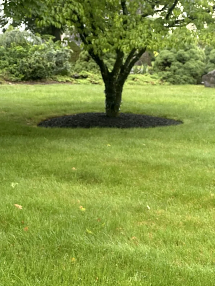 Affordable yard cleanup service experts serving Bound Brook, NJ - Rivera Brothers Landscaping