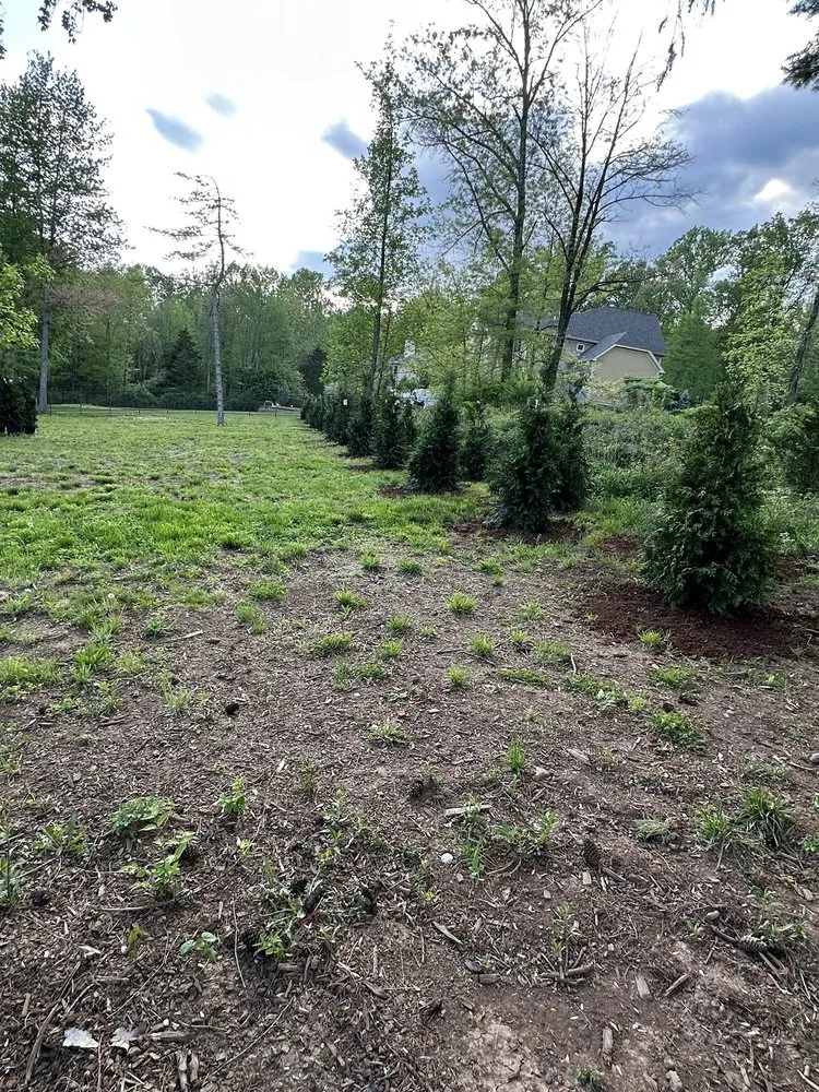 Affordable outdoor landscaping in Bound Brook, NJ by Rivera Brothers Landscaping