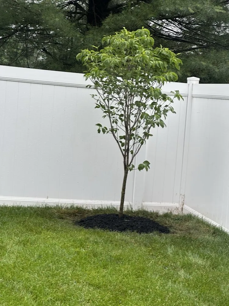 Professional lawn mowing service in Bound Brook, NJ by Rivera Brothers Landscaping