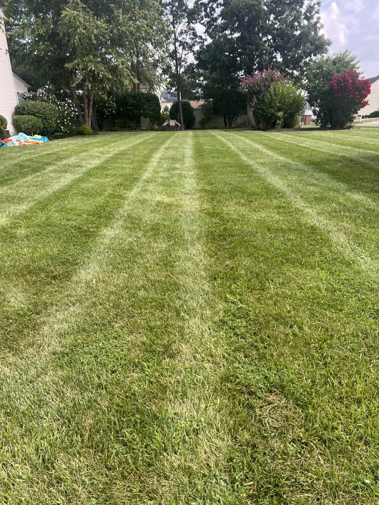 Top-rated landscape design for homes across Camden, NJ - Rivera C Landscaping