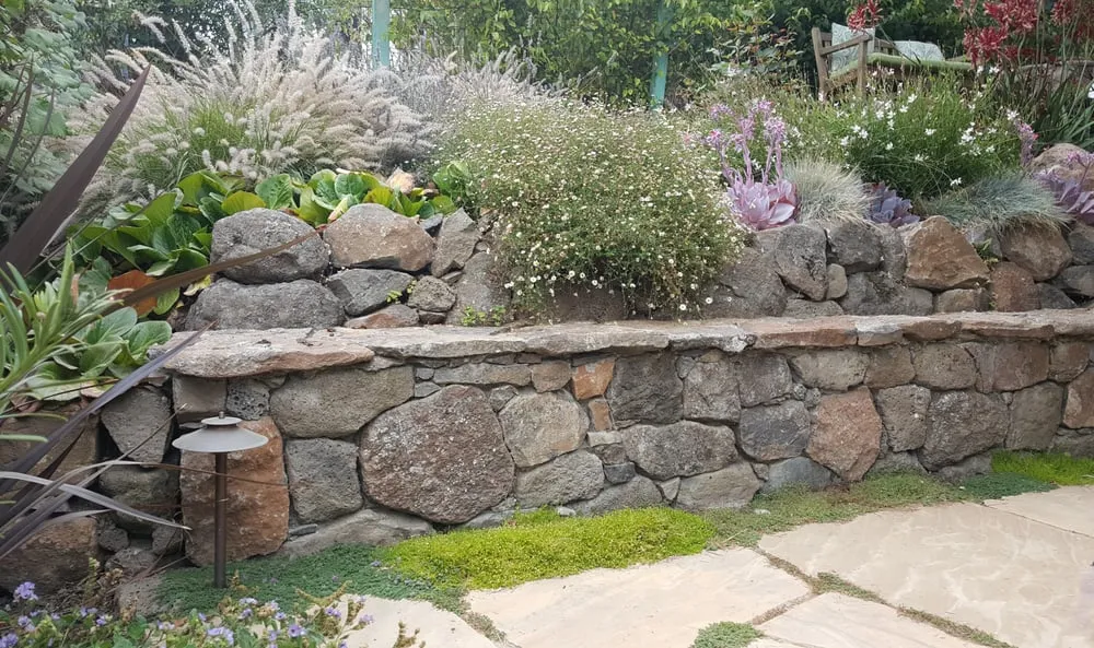 Top-rated lawn care service in Concord, CA - Rivera Landscape & Construction