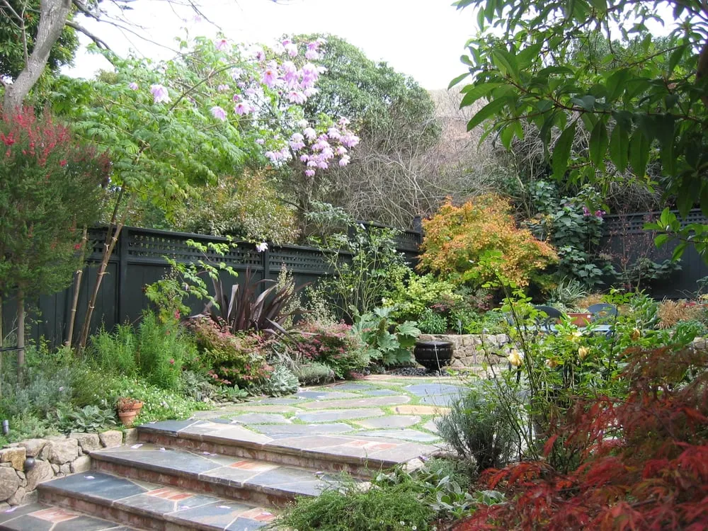 Expert yard cleanup service in Concord, CA by Rivera Landscape & Construction