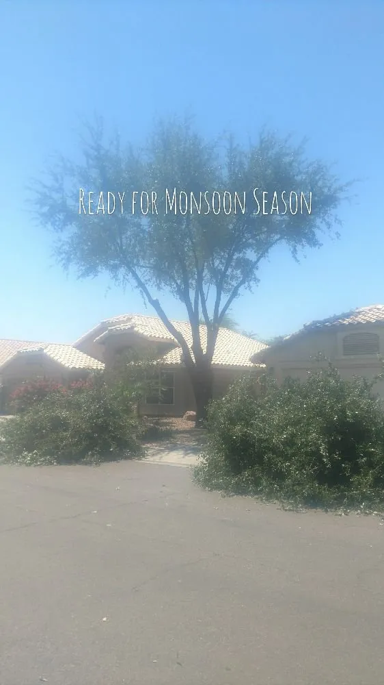 Professional yard maintenance for outdoor upgrades across Laveen, AZ - Rivera Landscape & Pool