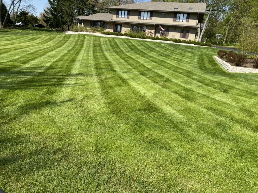 Custom landscaping services experts serving Arlington Heights, IL - Rivera Landscaping & Tree Services