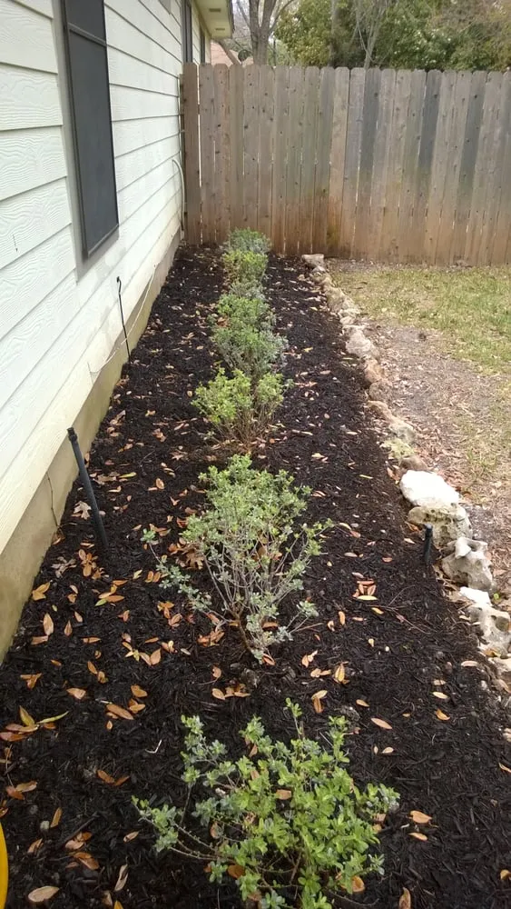 Affordable outdoor landscaping in Austin, TX by Rivera Landscaping