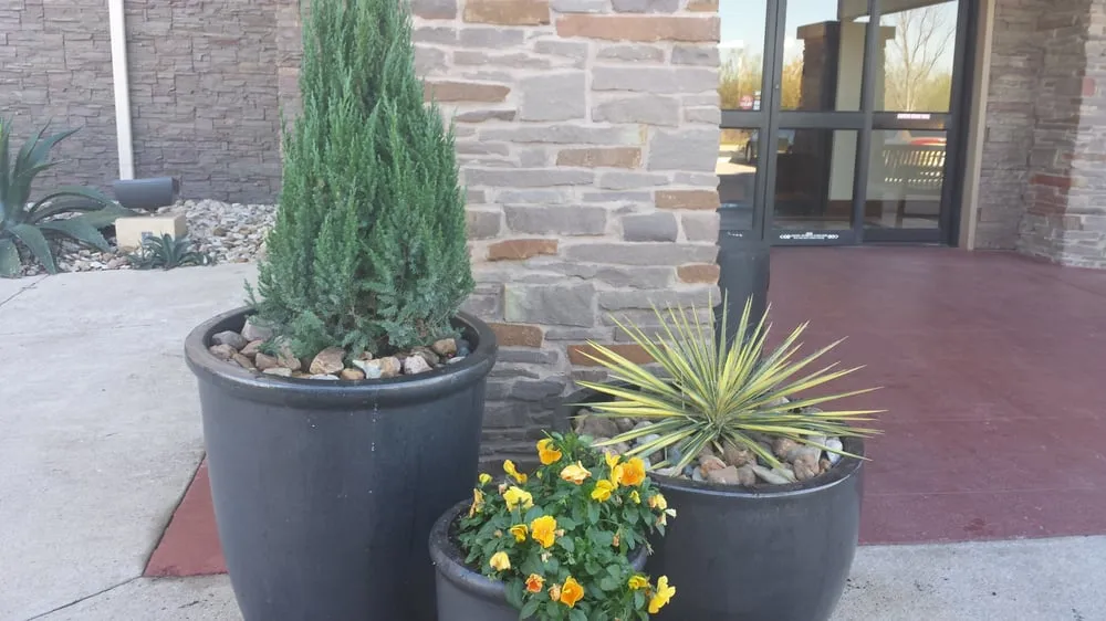 Reliable garden landscaping in Austin, TX by Rivera Landscaping