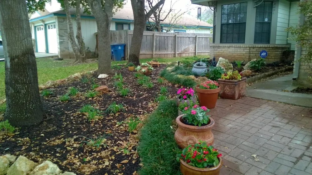 Trusted yard cleanup service for residential properties in Austin, TX by Rivera Landscaping