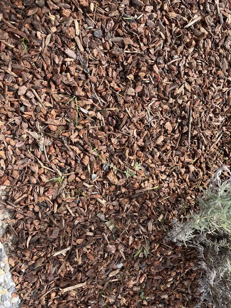 Custom yard maintenance for residential properties across Colma, CA - Rivera Landscaping