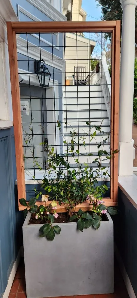 Professional residential landscaping for homes in Colma, CA by Rivera Landscaping