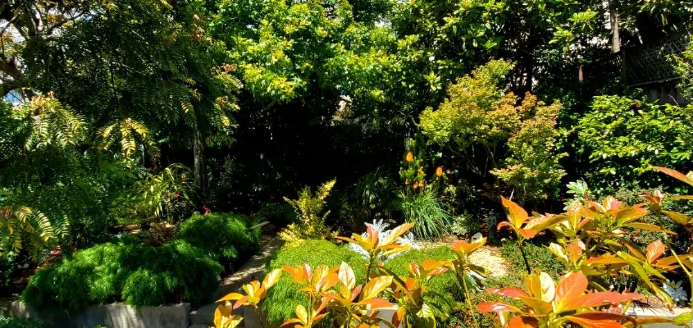 Affordable landscape installation with custom design in Colma, CA by Rivera Landscaping