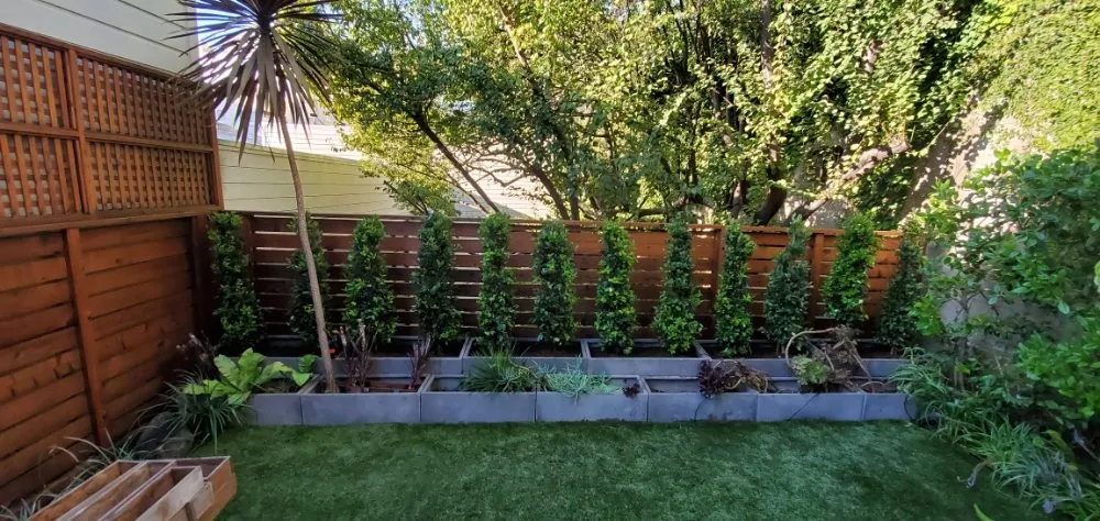 Expert landscape design in Colma, CA - Rivera Landscaping