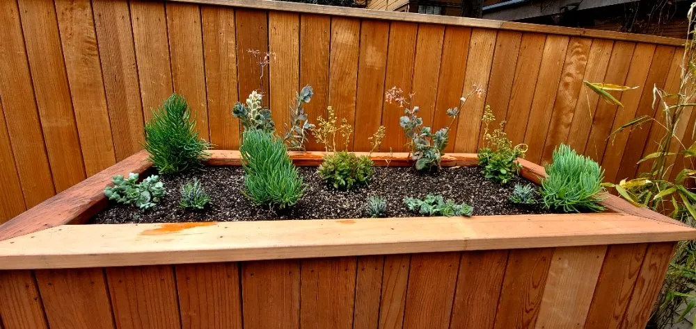 Reliable lawn mowing service with custom design in Colma, CA by Rivera Landscaping