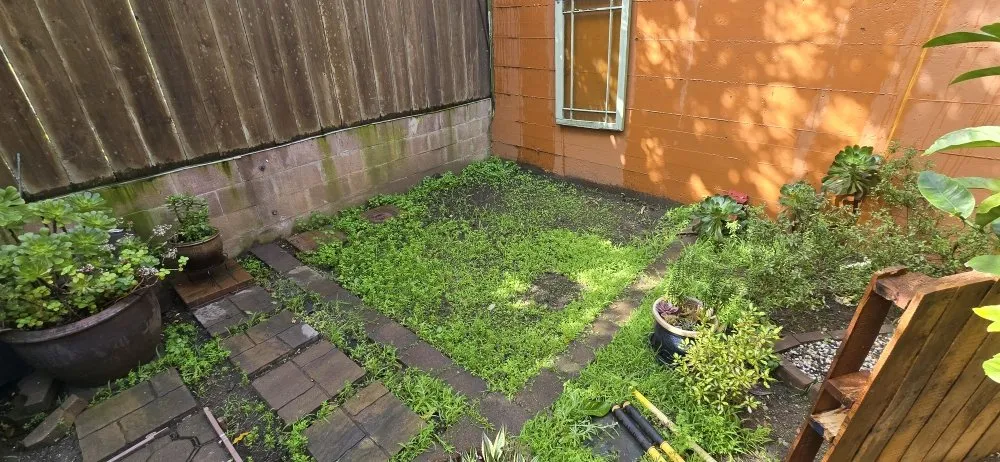 Custom landscape installation in Colma, CA by Rivera Landscaping