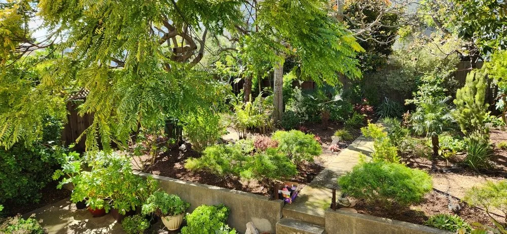 Trusted outdoor landscaping for homes across Colma, CA - Rivera Landscaping
