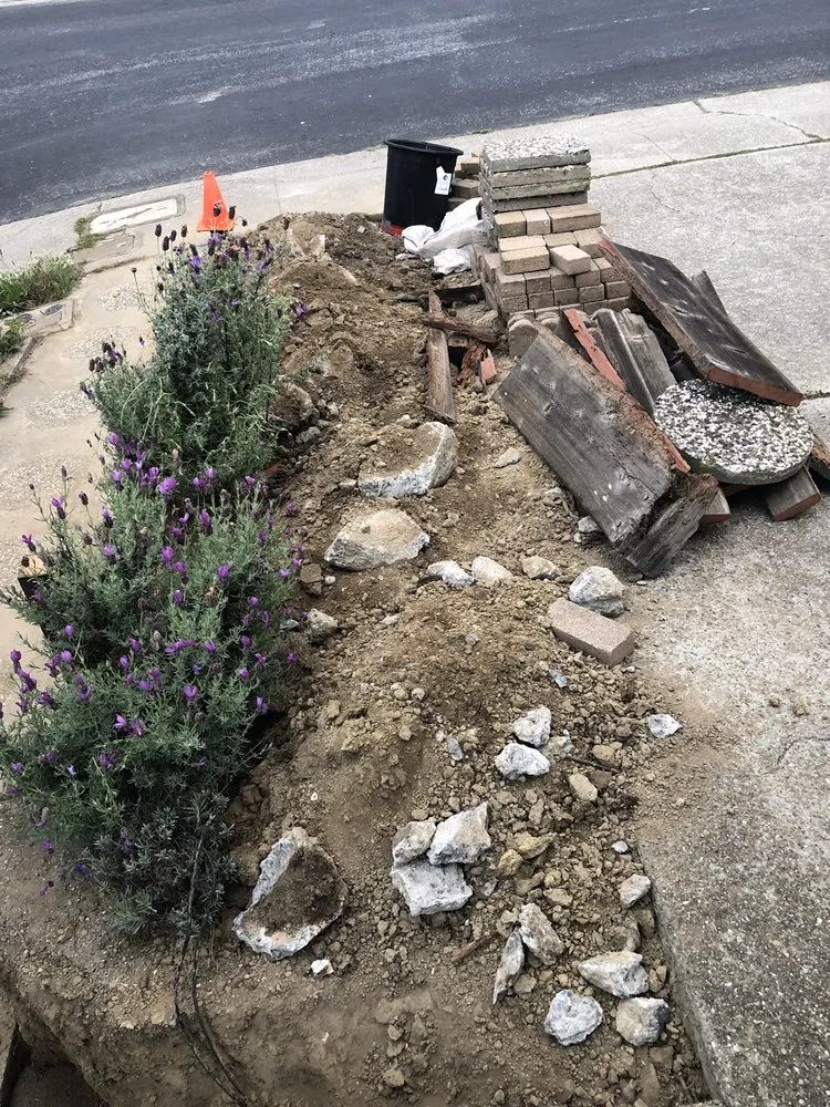 Top-rated residential landscaping experts serving Colma, CA - Rivera Landscaping