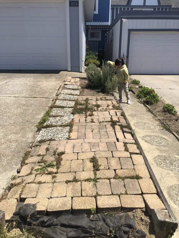 Reliable lawn care service with custom design across Colma, CA - Rivera Landscaping