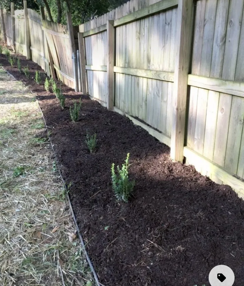 Top-rated outdoor landscaping for outdoor upgrades in New Carrolltn, MD by Rivera Landscaping